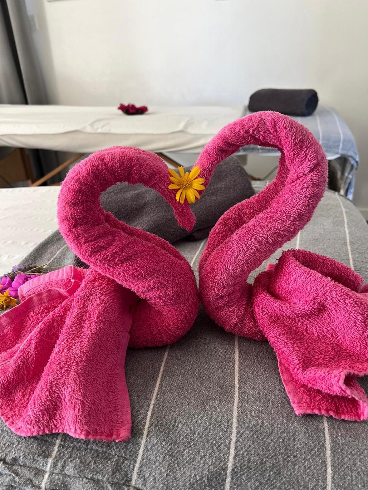 "L Eden Enchante" Chambres D'Hotes Et Spa Cote Basque Boucau Exterior foto